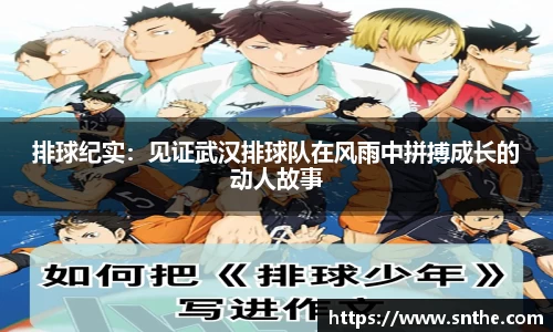 排球纪实：见证武汉排球队在风雨中拼搏成长的动人故事
