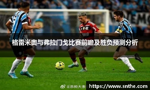 格雷米奥与弗拉门戈比赛前瞻及胜负预测分析