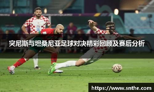 突尼斯与坦桑尼亚足球对决精彩回顾及赛后分析